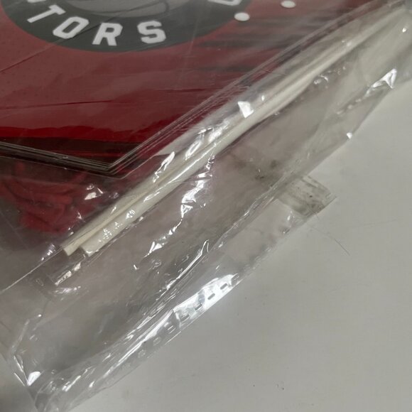 Toronto Raptors Basketball Party Kit - Picture 6 of 9